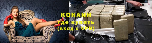 хмурый Мегион