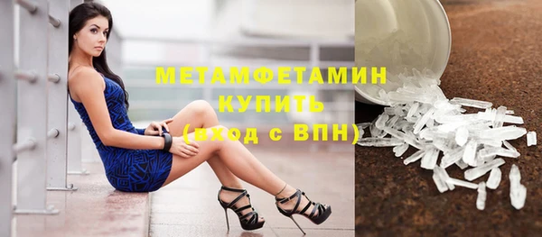 прущая мука Вяземский