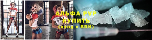 прущая мука Вяземский